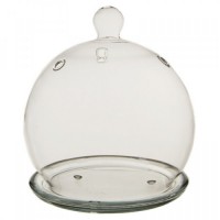 CYS-Excel Bell Jar Glass Terrarium   